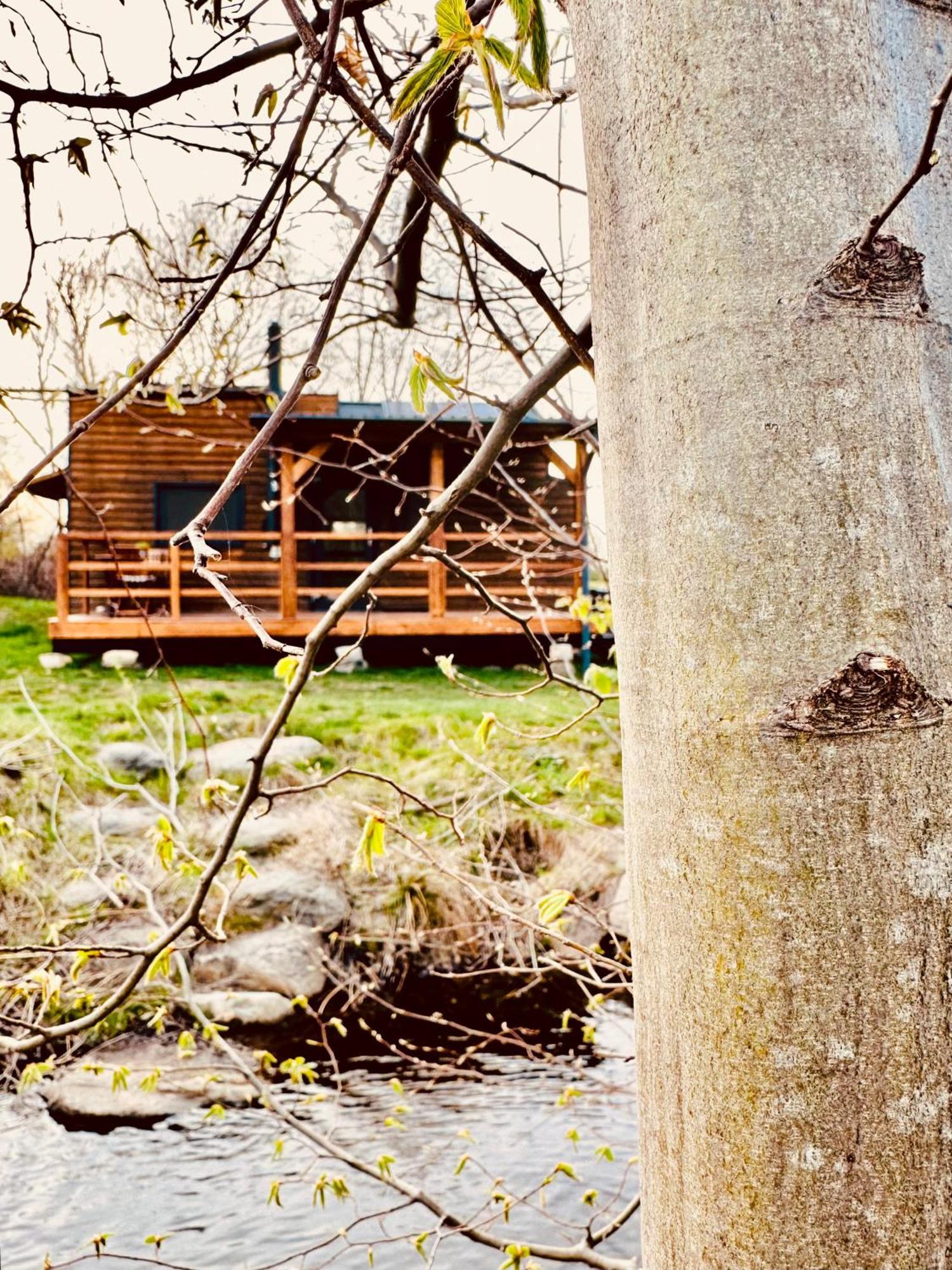 Tiny Home Dejani Экстерьер фото